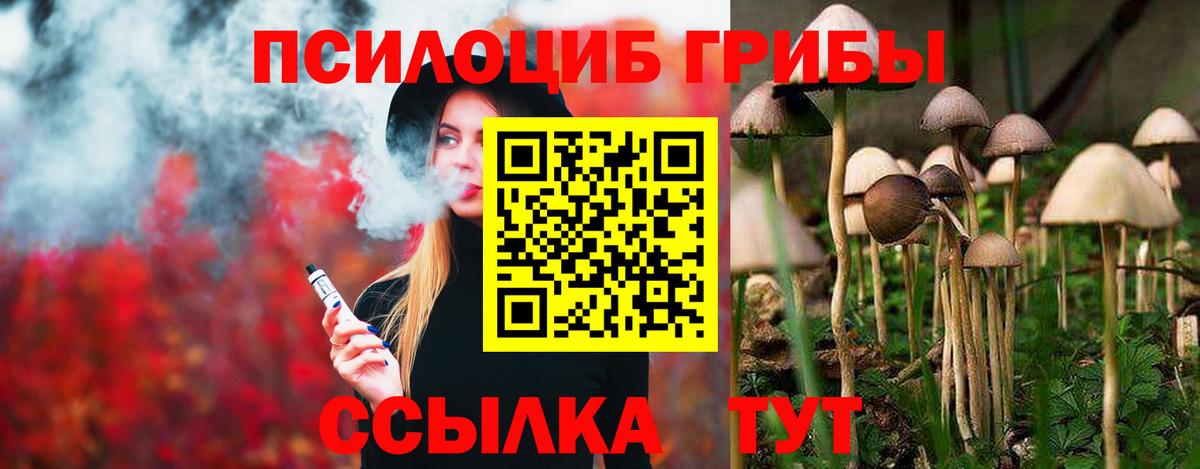 купить   Галлюциногенные грибы Psilocybine cubensis  Галлюциногенные грибы Psilocybe  Вход с VPN  Сегежа 